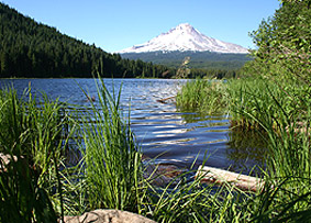 view of Mt. Hood from Trillium Lake