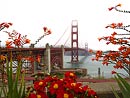 San Francisco, Monterey