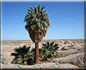 Desert Dream Trails guided travel and hiking tours