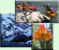 hiking and adventure tour - guided tours