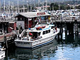 Monterey harbor