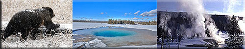 yellowstone winter tour schedule page